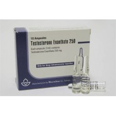 TESTO Aburaihan 10 amps x 250mg Testo-Enanthate